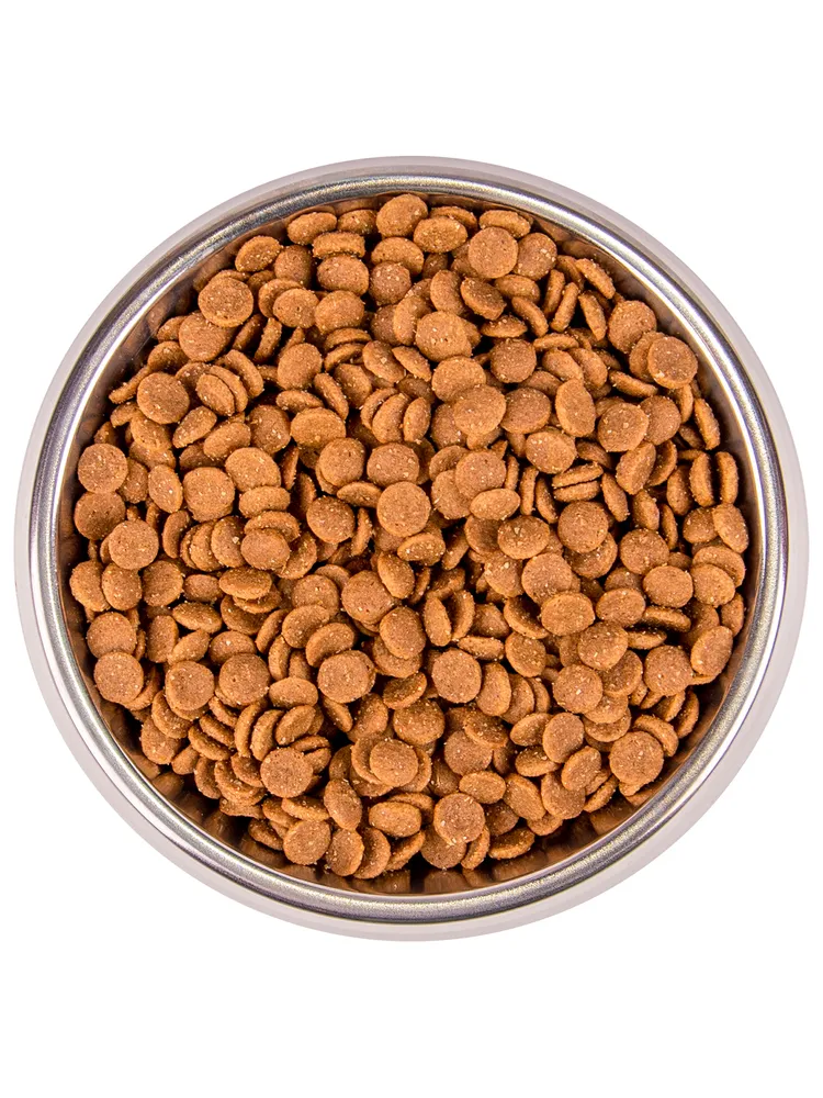 Monge Bwild Cat Low Grain Kitten низкозерновой корм котят