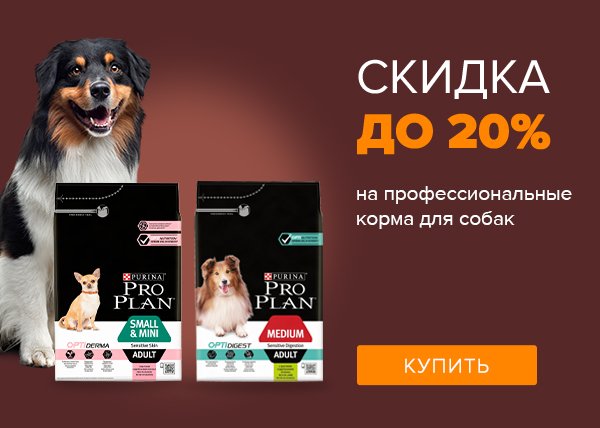 Скидка на профессиональные корма для собак Pro Plan