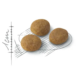 Royal Canin Exigent Aromatic Attraction для кошек привередливых к аромату продукта