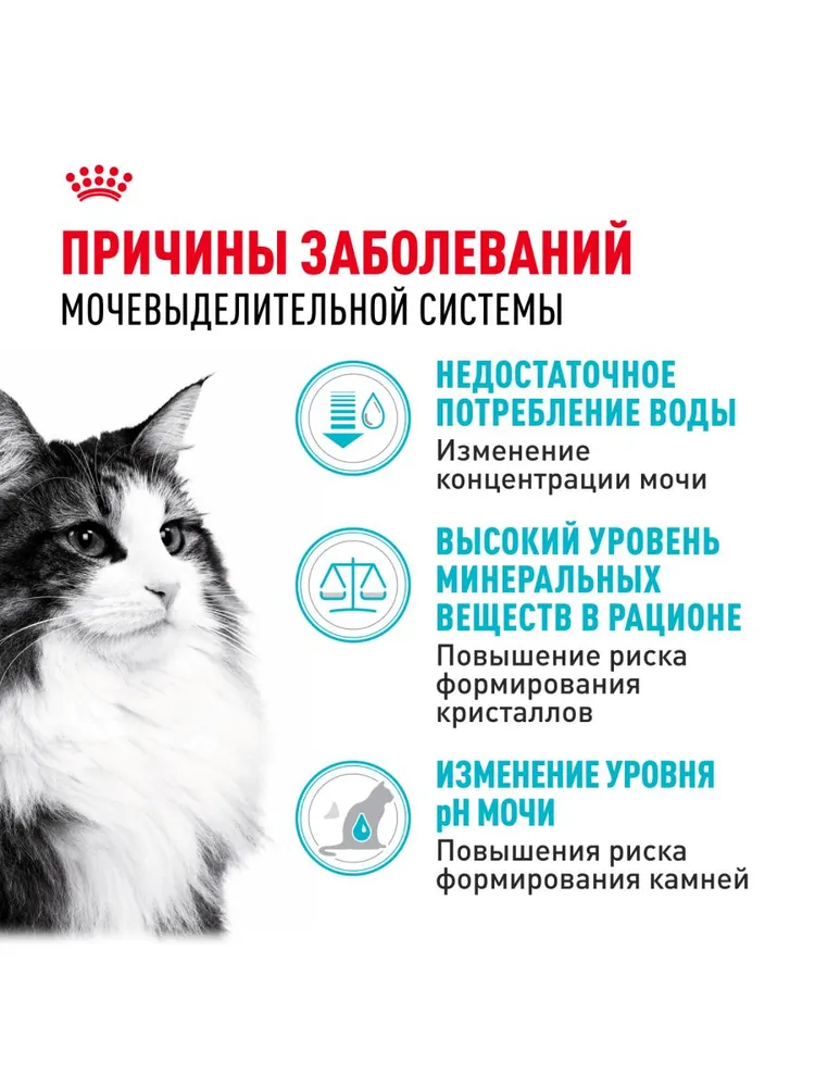 Royal Canin Urinary Care для профилактики МКБ у кошек