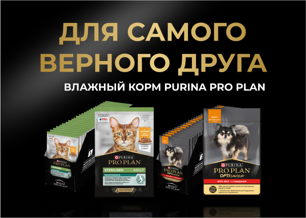 Для самого верного друга