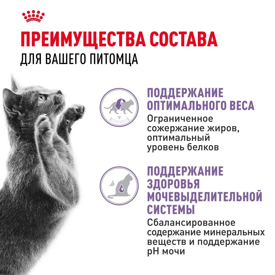 Royal Canin Sterilised пауч для стерилизованных кошек (кусочки в желе)