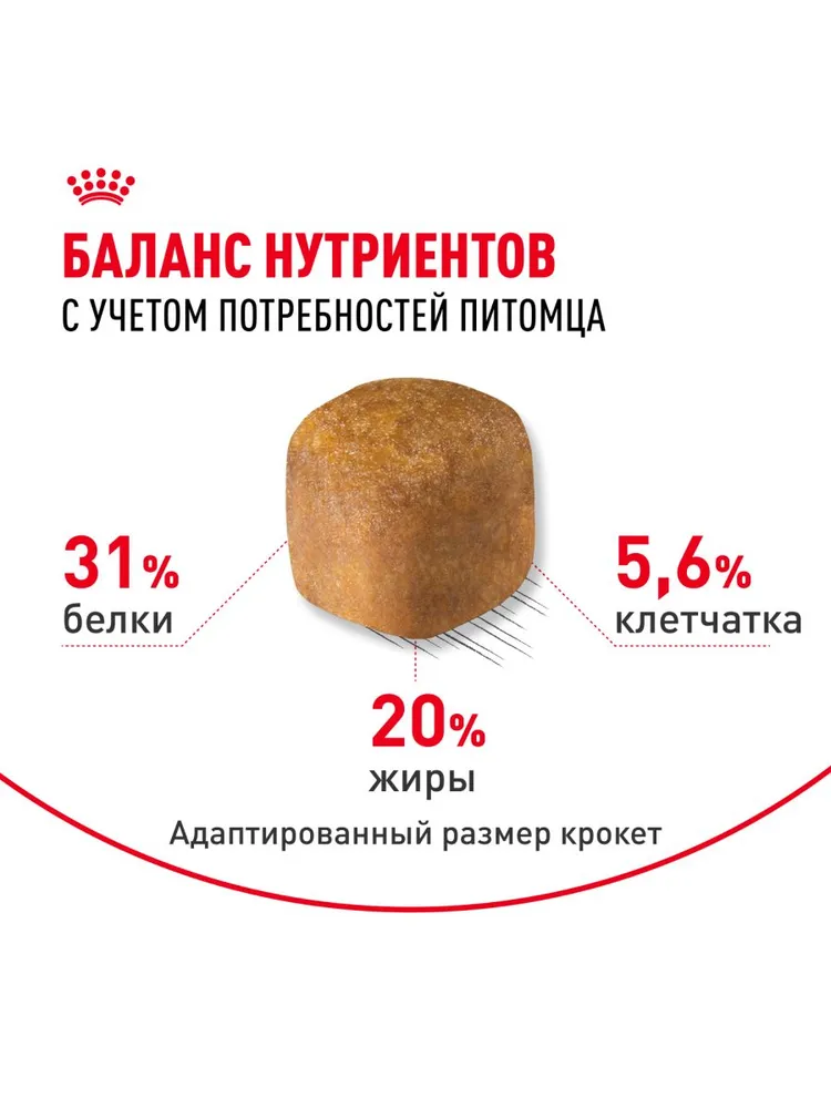 Royal Canin Maine Coon Adult для кошек породы мейн-кун