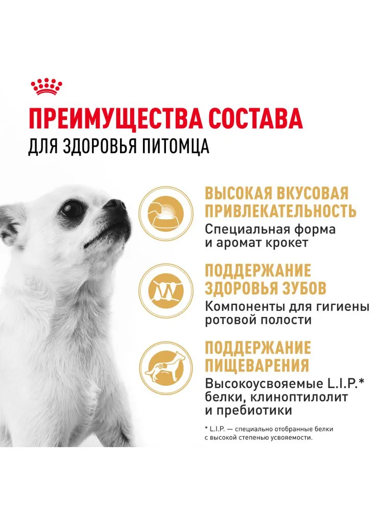 Royal Canin Chihuahua Adult для собак породы чихуахуа