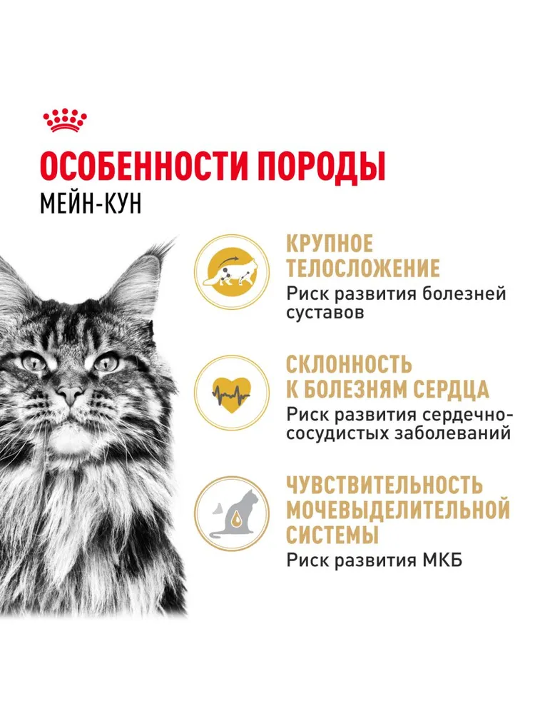 Royal Canin Maine Coon Adult для кошек породы мейн-кун