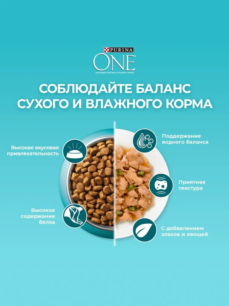 Purina One пауч для взрослых кошек (кусочки в подливе)