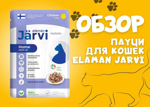 Видео: влажный корм для кошек Elaman Jarvi