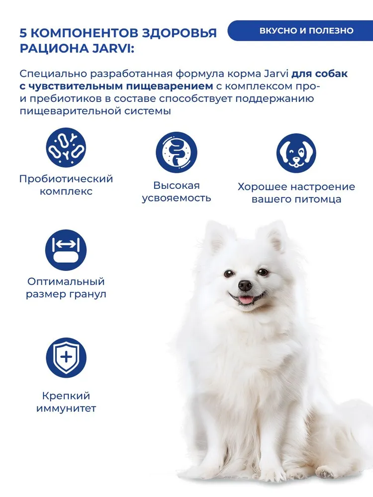 Jarvi сухой полнорационный корм для взрослых собак мелких пород с чувствительным пищеварением