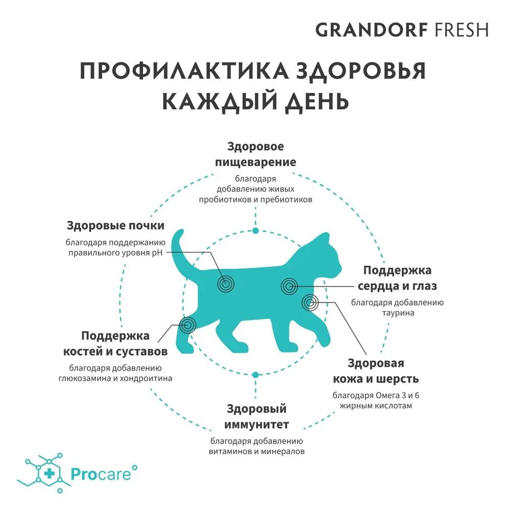 Grandorf FRESH Kitten Lamb & Potato корм для котят