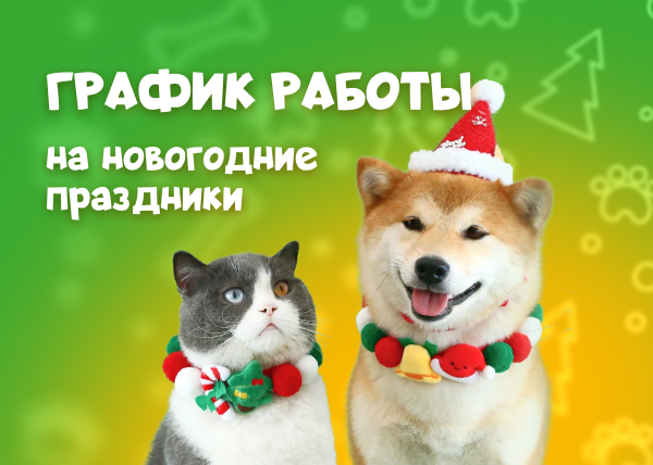 График работы в новогодние праздники 2025/2026