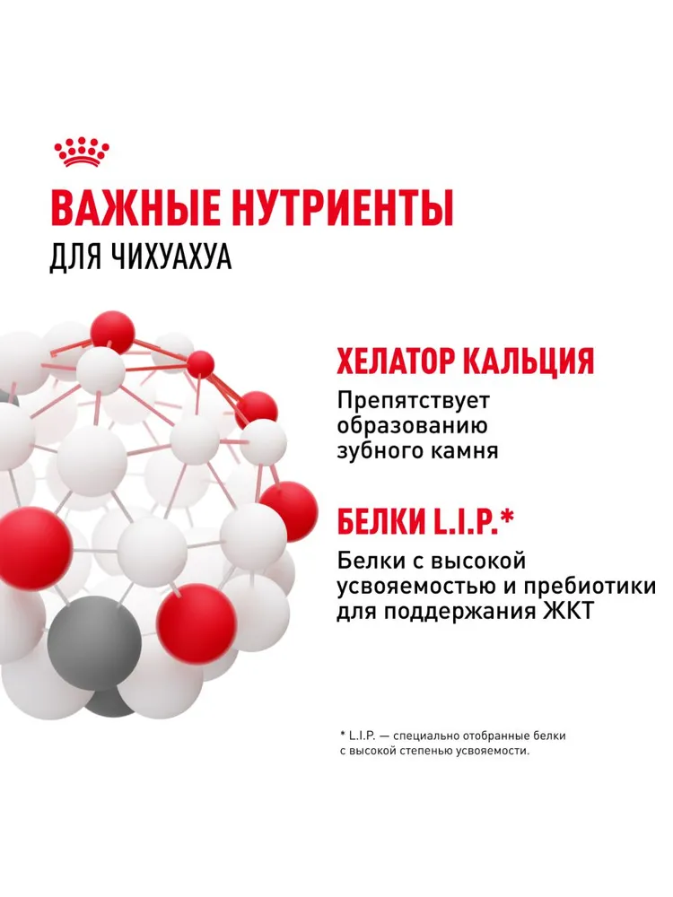 Royal Canin Chihuahua Adult для собак породы чихуахуа