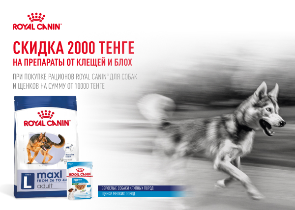 Скидка 2000тг на препараты от клещей и блох при покупке продукции Royal Canin на сумму от 10000 тенге