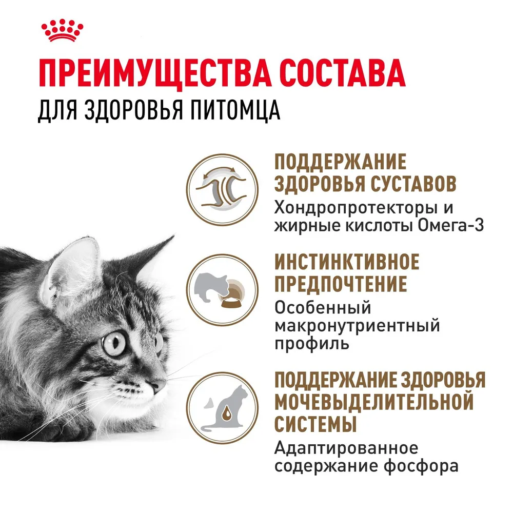 Royal Canin Ageing +12 пауч для кошек старше 12 лет (кусочки в соусе)
