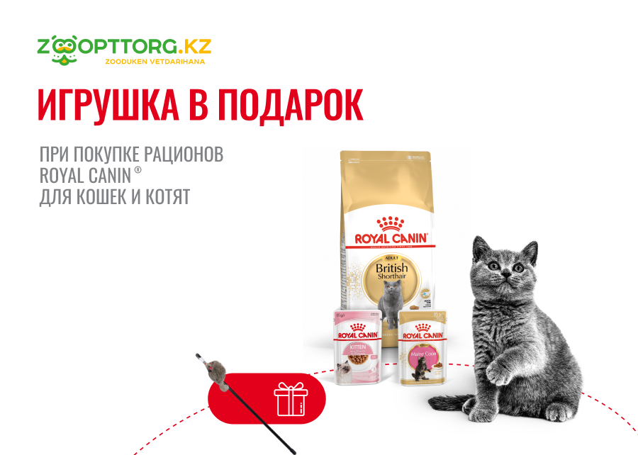 Игрушка в подарок за покупку сухих рационов для кошек  Royal Canin