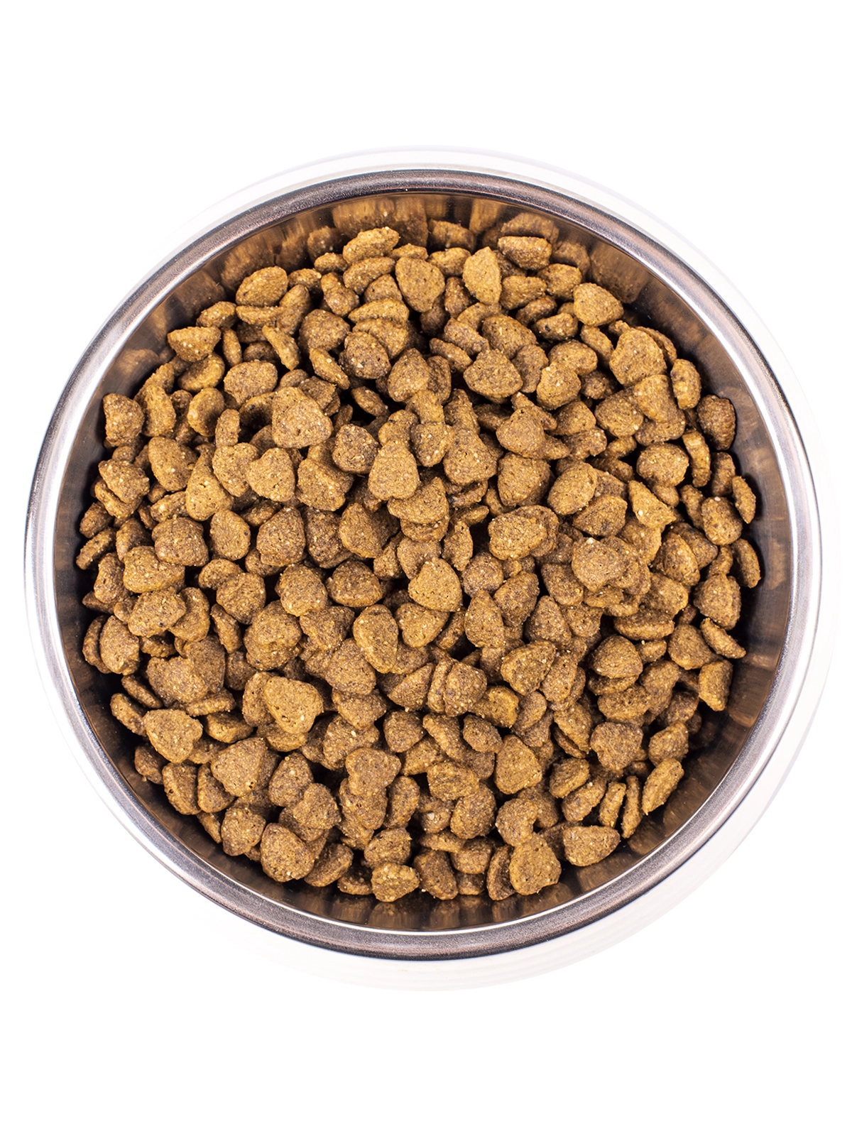 Monge Cat Indoor корм для домашних кошек