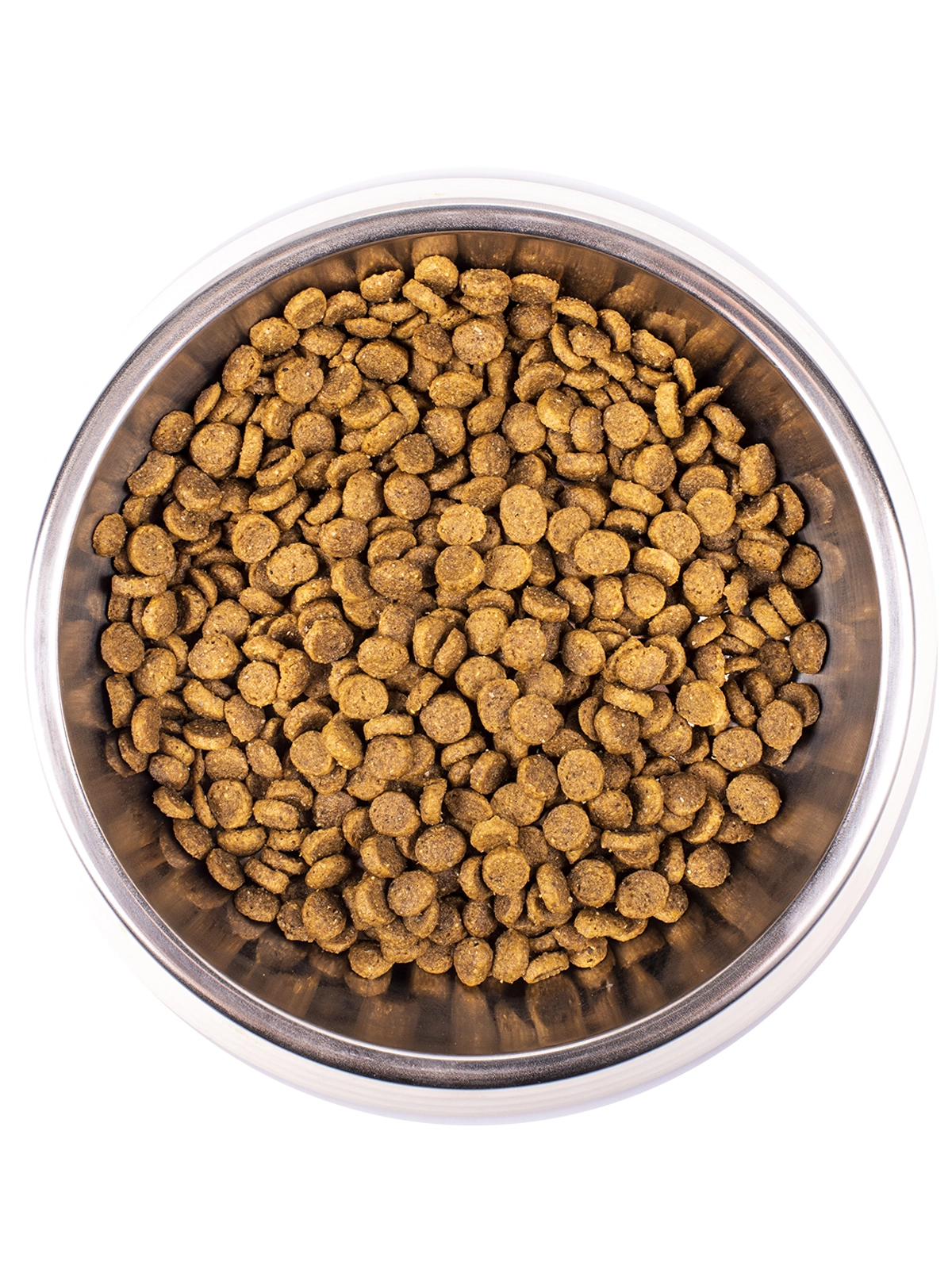 Monge Cat Kitten корм для котят