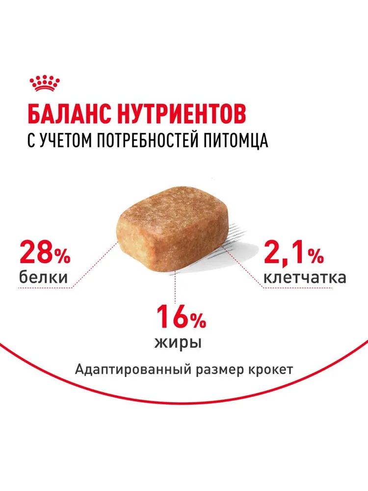 Royal Canin Chihuahua Adult для собак породы чихуахуа