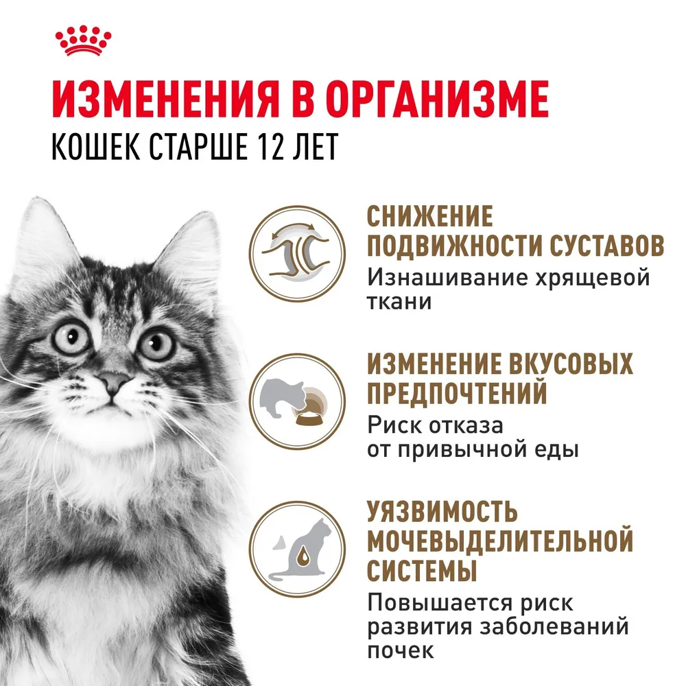 Royal Canin Ageing +12 пауч для кошек старше 12 лет (кусочки в соусе)