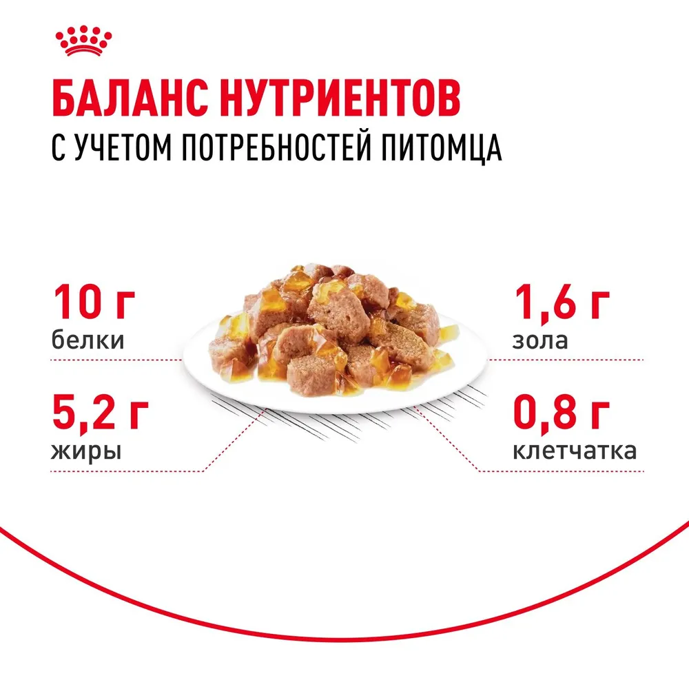 Royal Canin Ageing +12 пауч для кошек старше 12 лет (кусочки в соусе)