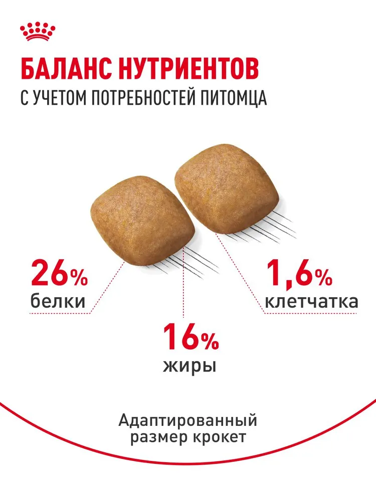 Royal Canin Pomeranian Adult Dry корм для собак породы померанский шпиц