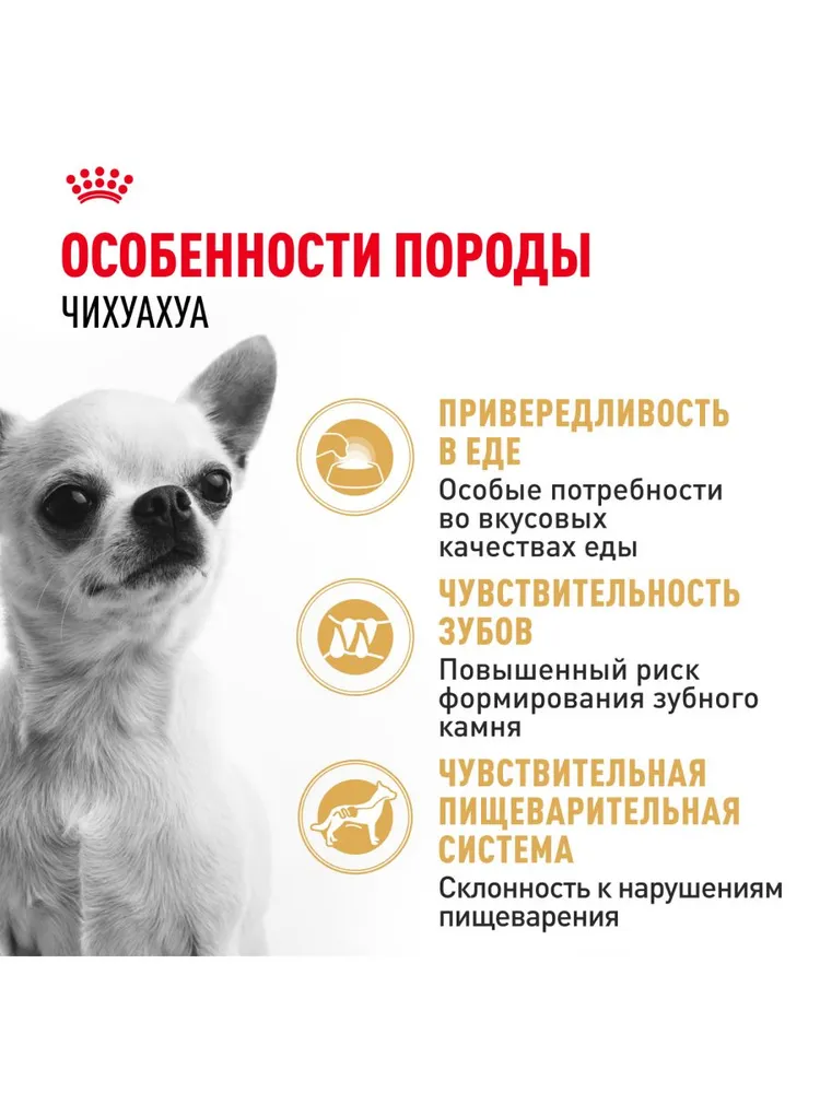 Royal Canin Chihuahua Adult для собак породы чихуахуа