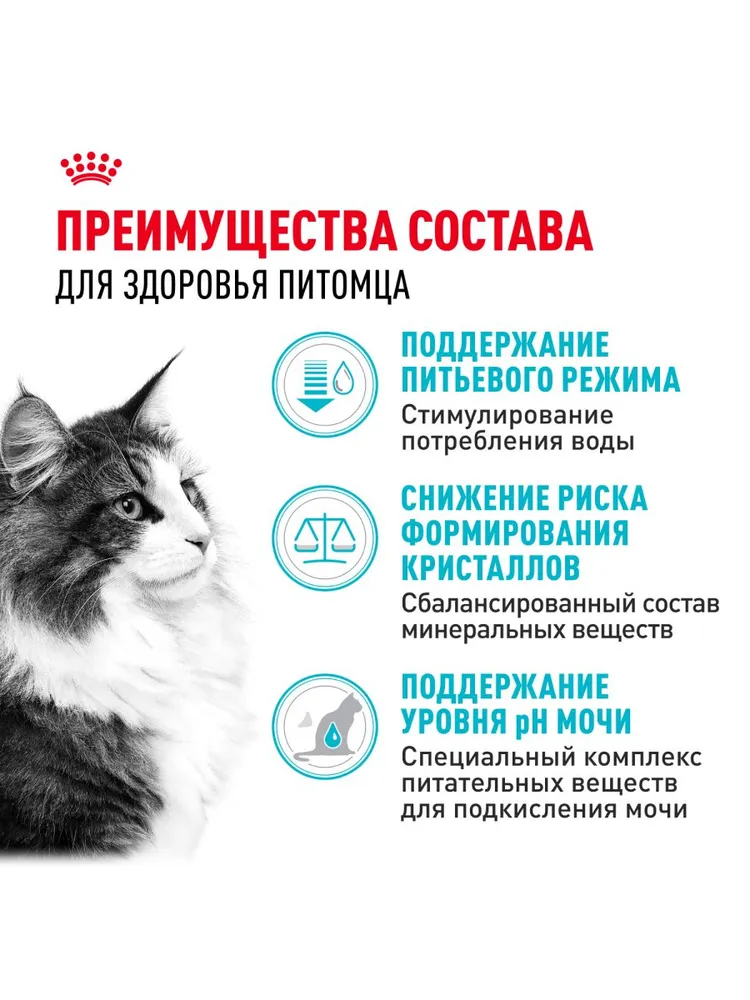 Royal Canin Urinary Care для профилактики МКБ у кошек