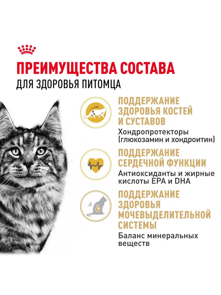 Royal Canin Maine Coon Adult для кошек породы мейн-кун