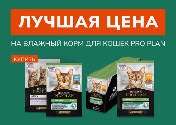 Лучшая цена на влажный корм для кошек Pro Plan