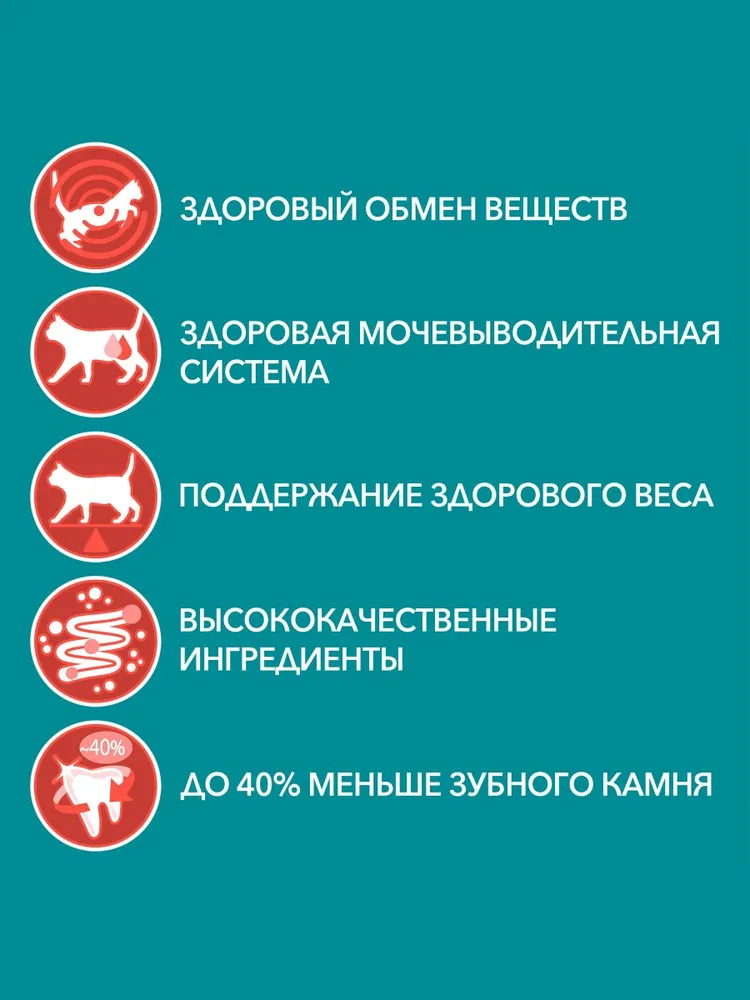 Purina One пауч для взрослых кошек (кусочки в подливе)