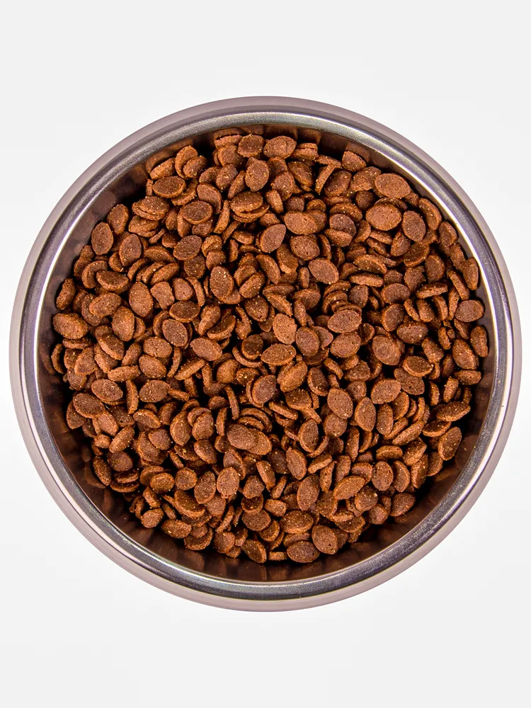 Monge Bwild Cat Hare корм для взрослых кошек с мясом зайца