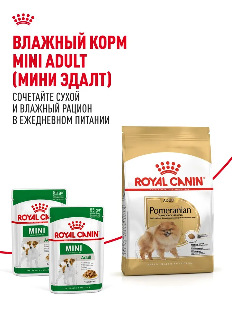 Royal Canin Pomeranian Adult Dry корм для собак породы померанский шпиц