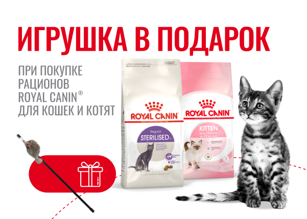 Игрушка в подарок за покупку сухих рационов для кошек  Royal Canin
