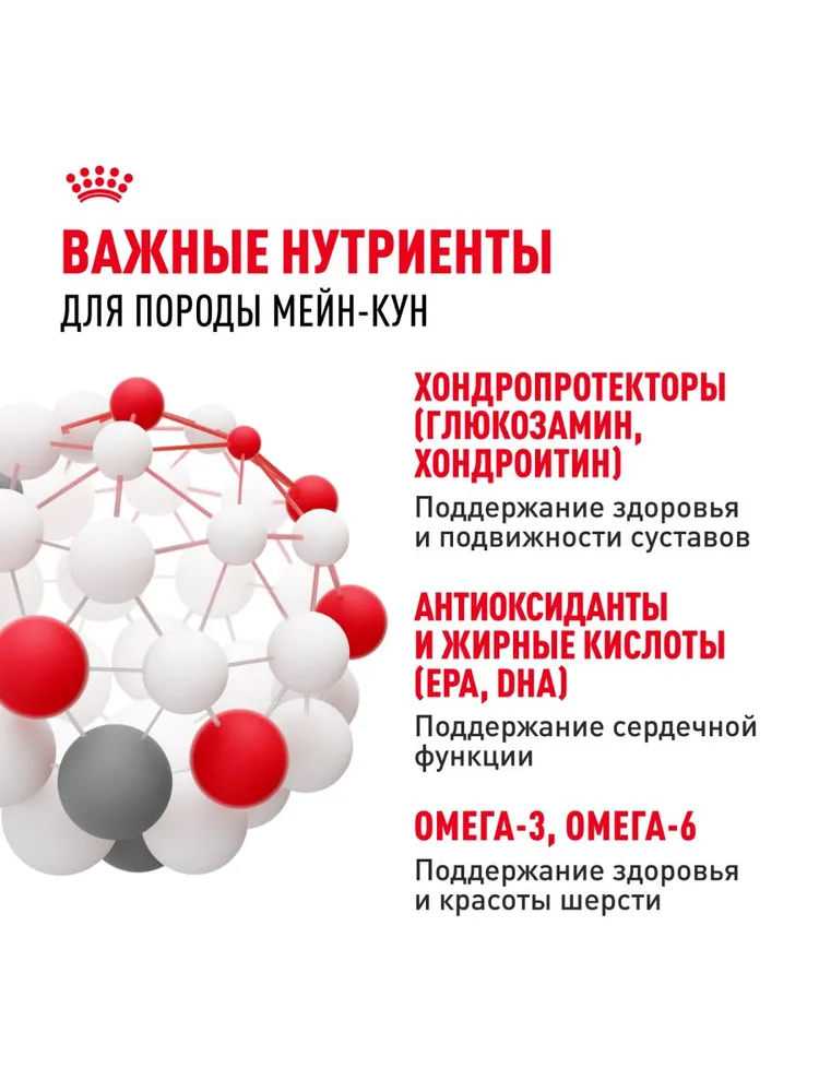 Royal Canin Maine Coon Adult для кошек породы мейн-кун