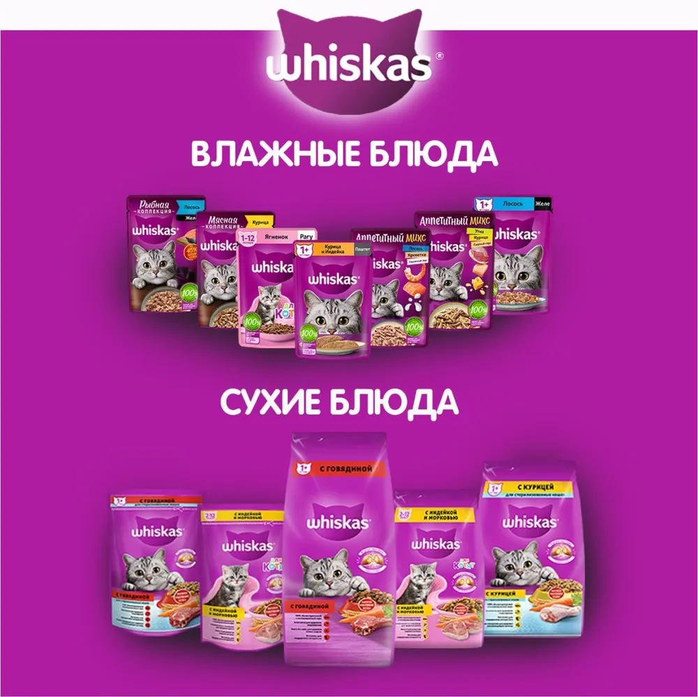 Whiskas Вкусные подушечки для котят