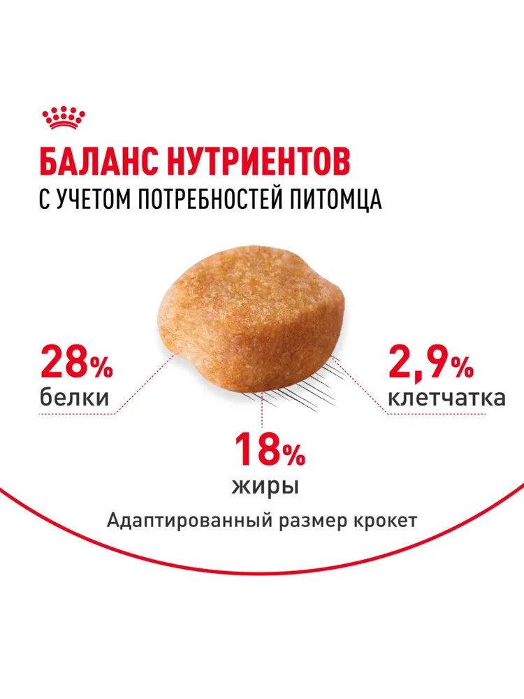 Royal Canin Yorkshire Terrier Adult для собак породы йоркширский терьер