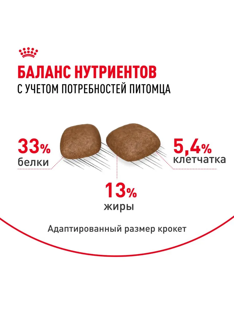 Royal Canin Urinary Care для профилактики МКБ у кошек