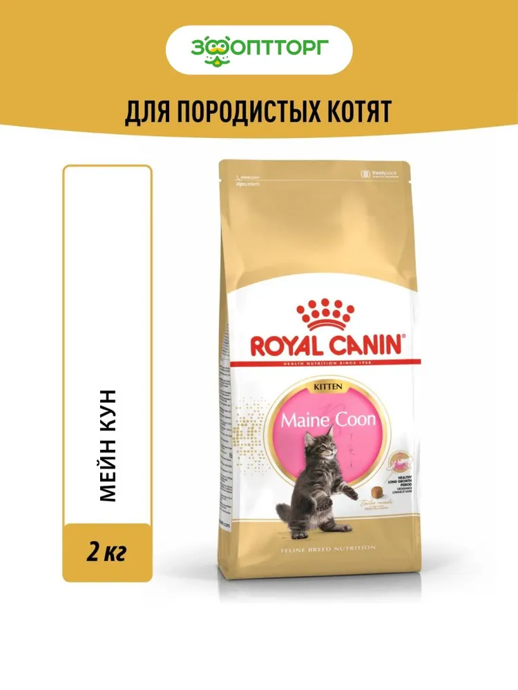 Royal Canin Maine Coon Kitten для котят породы мейн-кун
