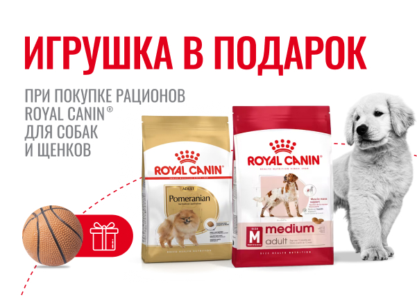 Игрушка в подарок за покупку сухих рационов для собак Royal Canin			