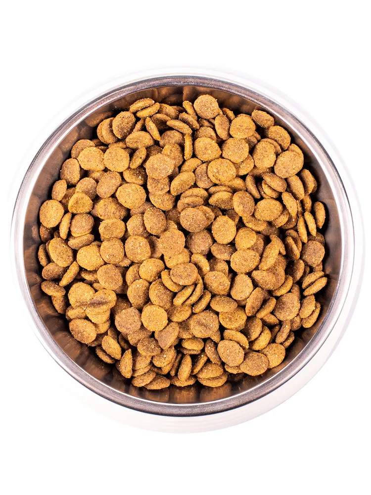 Monge Cat Adult корм для взрослых кошек