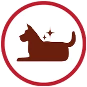 dog age icon