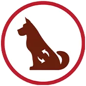 dog health icon
