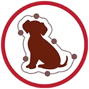 dog immun icon