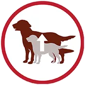 dog size icon