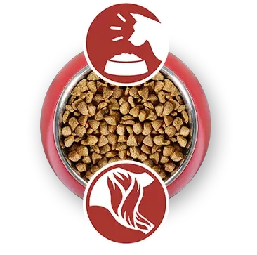 dry feed