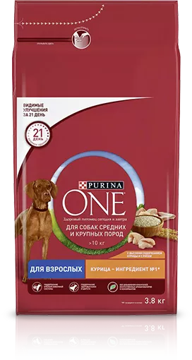 new pack