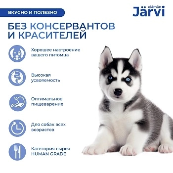 Jarvi мясной паштет с телятиной для щенков всех пород от 2-х месяцев