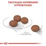 Royal Canin Mini Digestive Care для собак мелких пород с чувствительным пищеварением