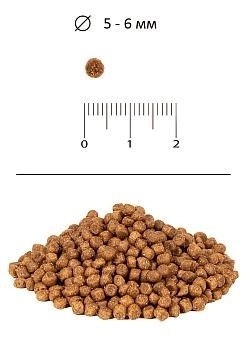 Blitz Cats Kitten для котят, беременных и кормящих кошек