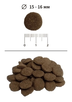 Blitz Adult Dog для взрослых собак всех пород