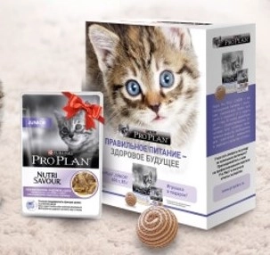 Pro Plan Junior для котят, беременных и кормящих кошек 400 г. (игрушка + пауч бесплатно)